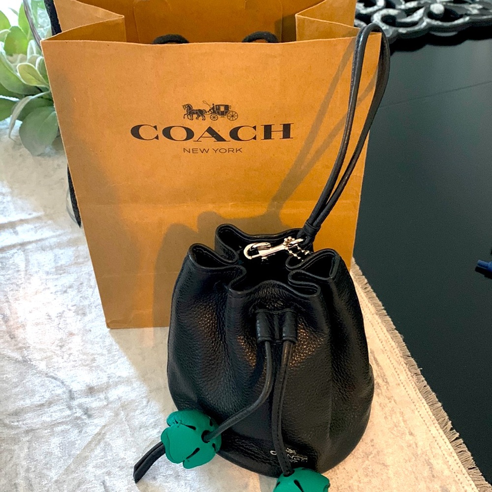 Coach small bucket bag